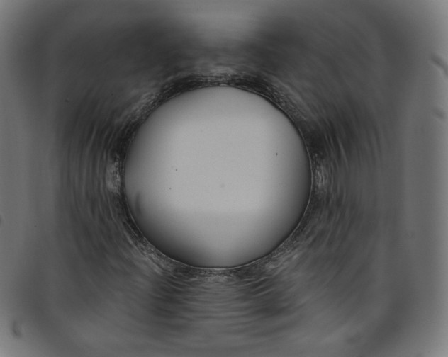 X0000098091204200804251247