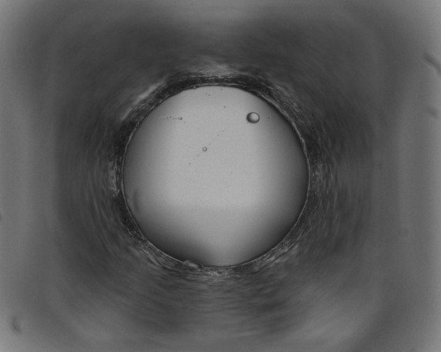 X0000098091205200804251247