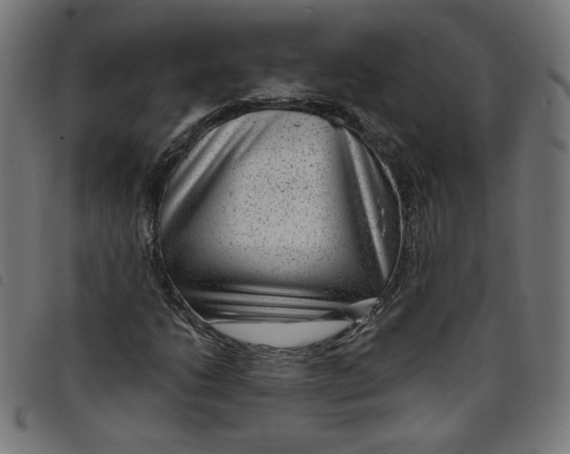 X0000098091206200804251247