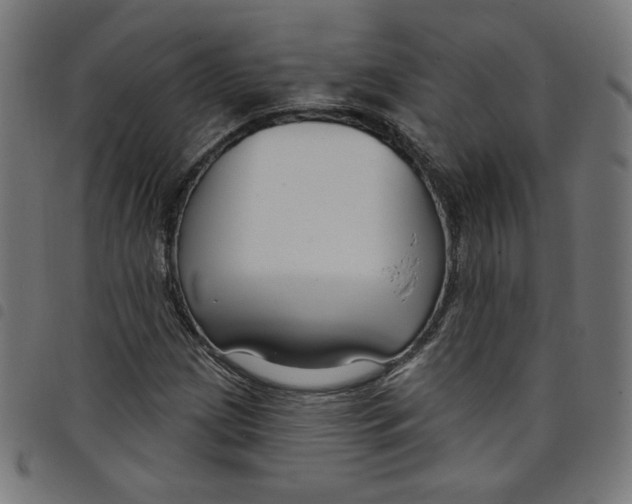 X0000098091209200804251247