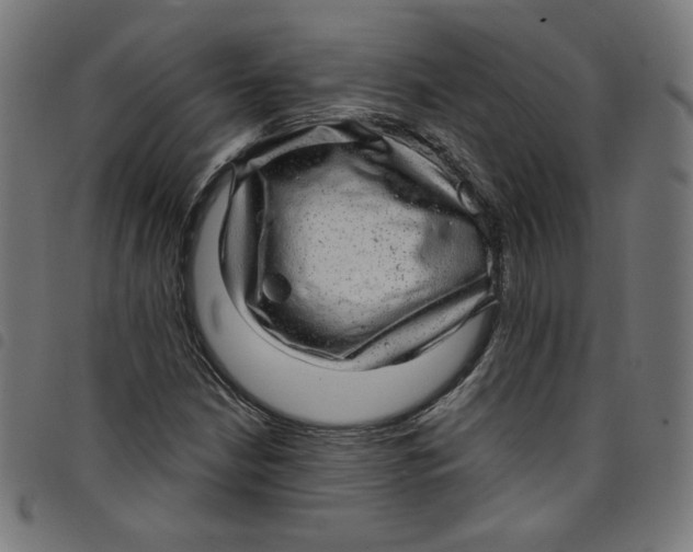 X0000098091210200804251247