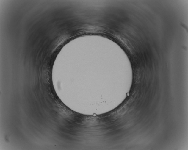 X0000098091211200804251247