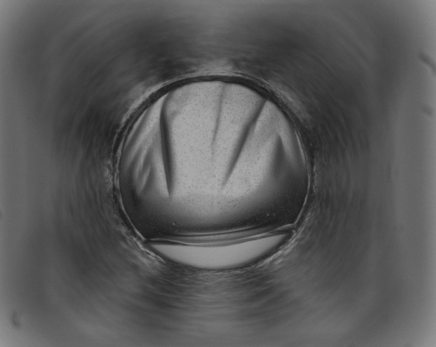 X0000098091212200804251247