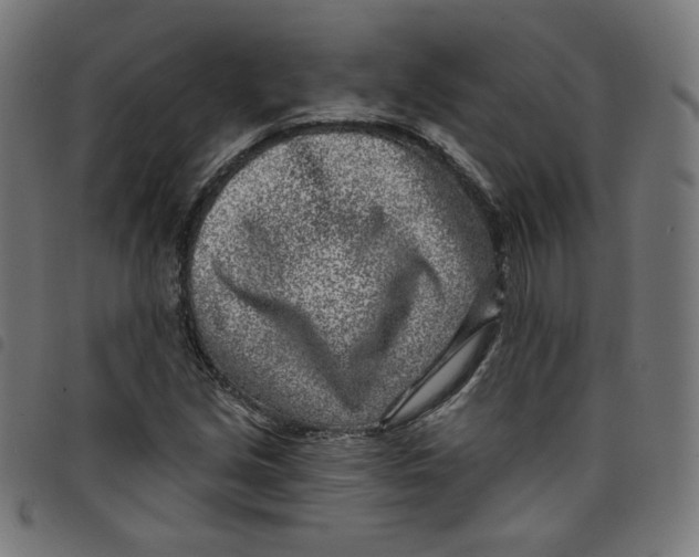 X0000098091213200804251247