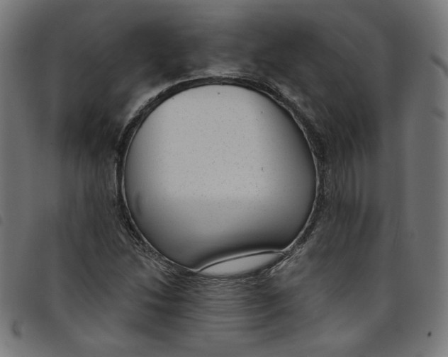 X0000098091214200804251247