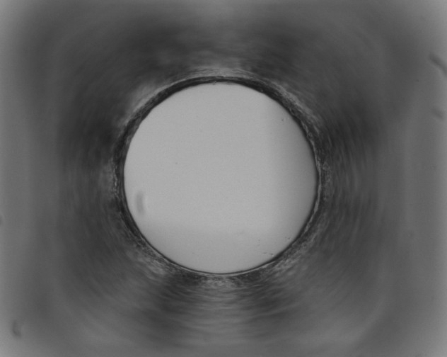 X0000098091215200804251247