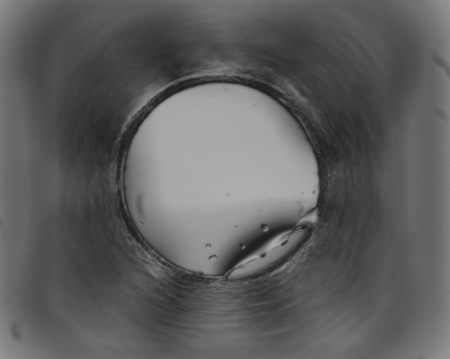 X0000098091216200804251247