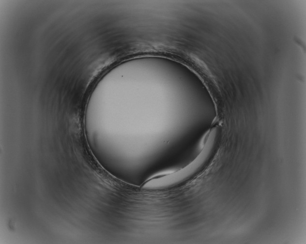 X0000098091218200804251247