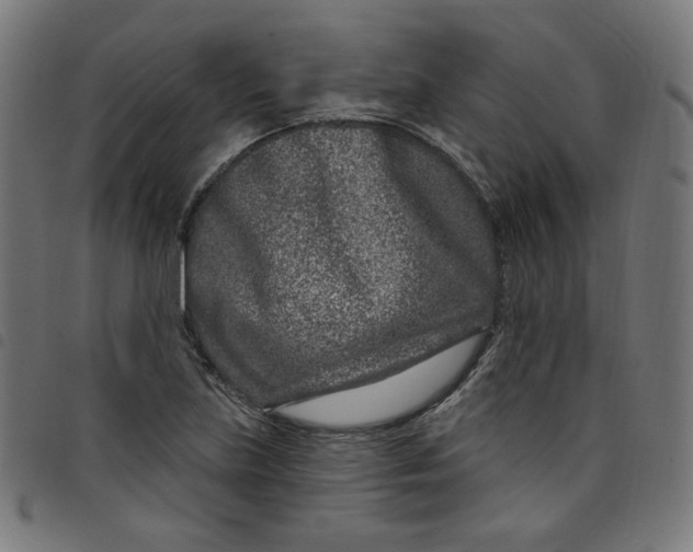 X0000098091219200804251247