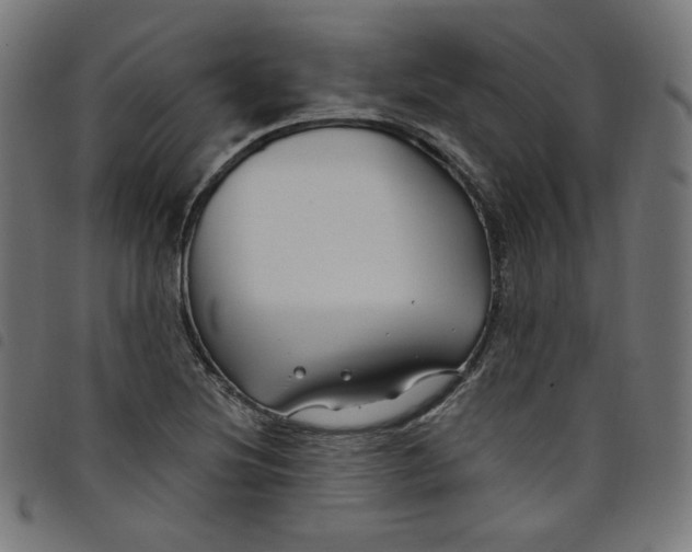 X0000098091220200804251247