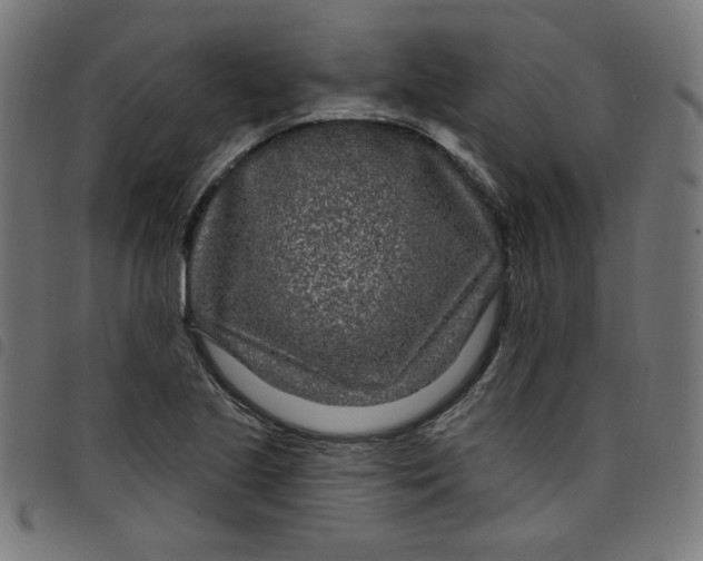 X0000098091221200804251247