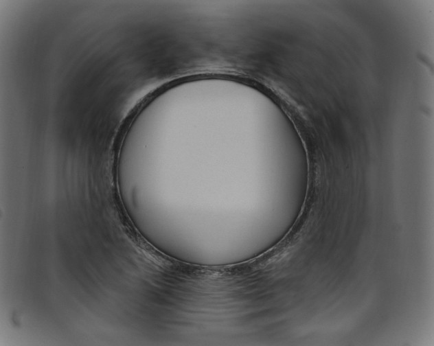 X0000098091222200804251247