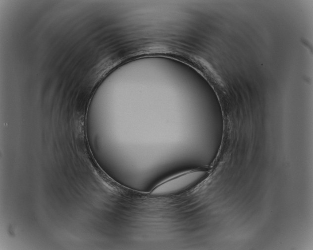 X0000098091225200804251247