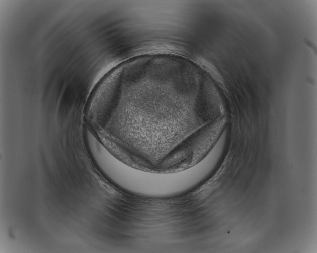 X0000098091226200804251247