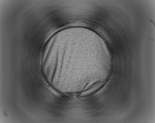 X0000098091228200804251247