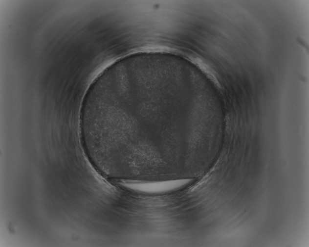 X0000098091229200804251247