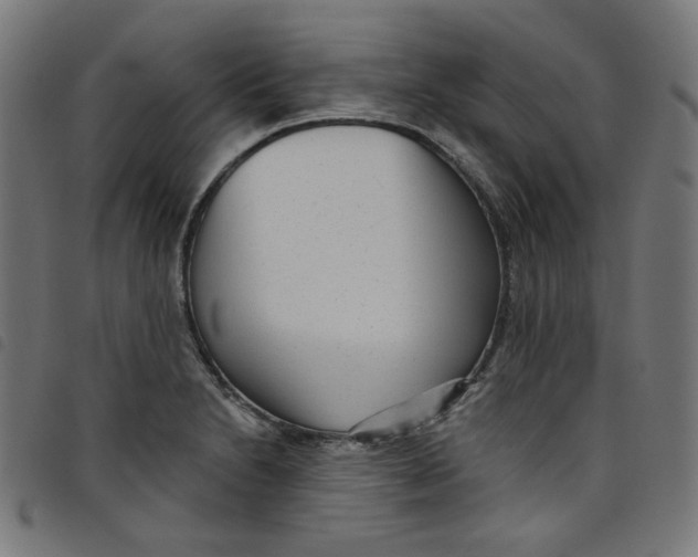 X0000098091230200804251247