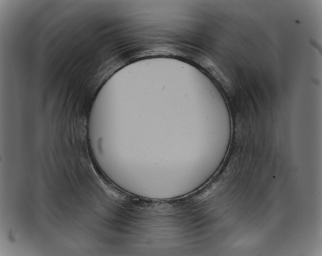X0000098091233200804251247