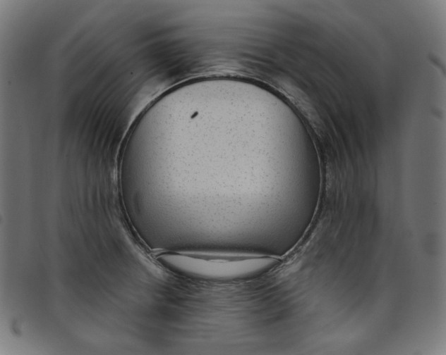 X0000098091234200804251247