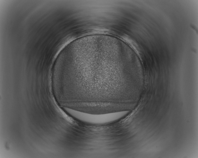 X0000098091235200804251247