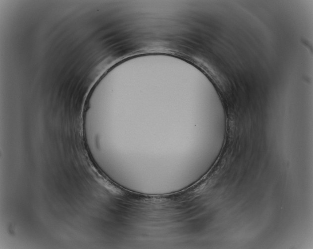 X0000098091236200804251247