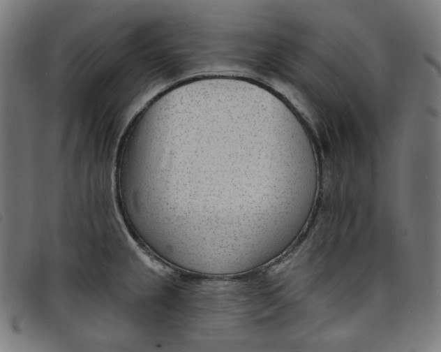 X0000098091237200804251247