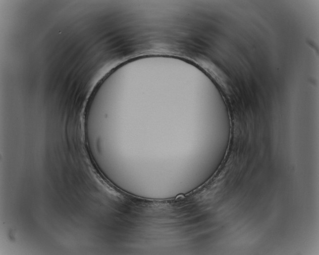 X0000098091238200804251247