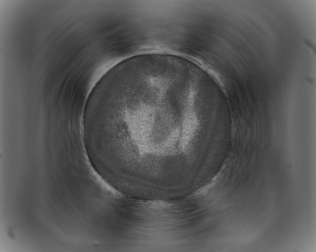 X0000098091239200804251247