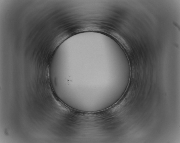 X0000098091241200804251247