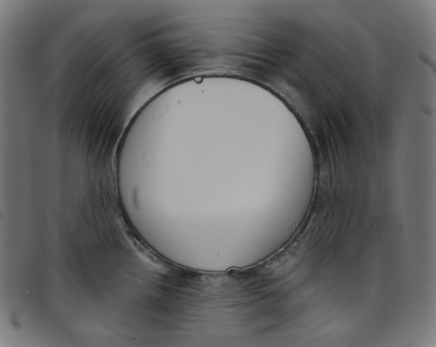 X0000098091242200804251247