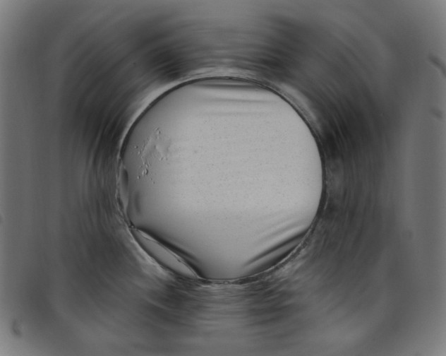 X0000098091244200804251247