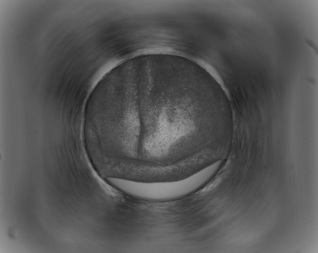X0000098091245200804251247
