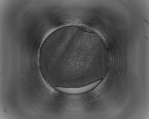 X0000098091246200804251247