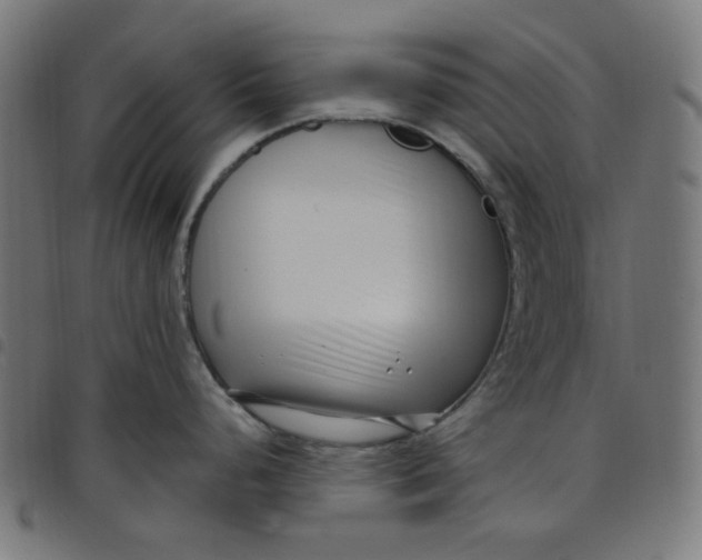 X0000098091248200804251247