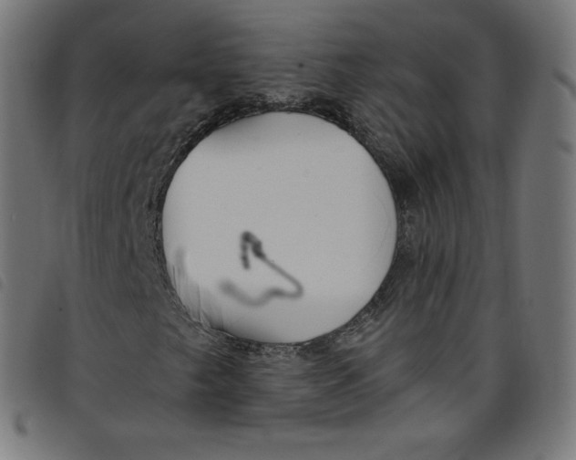 X0000098091249200804251247