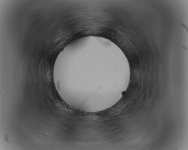 X0000098091250200804251247