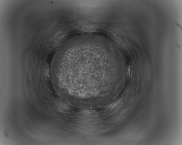 X0000098091251200804251247
