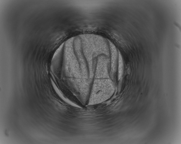 X0000098091252200804251247
