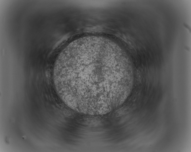 X0000098091254200804251247