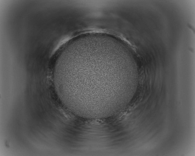 X0000098091255200804251247