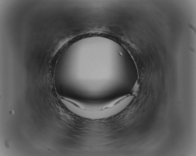 X0000098091256200804251247
