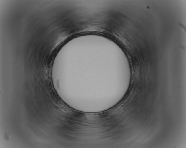 X0000098091258200804251246
