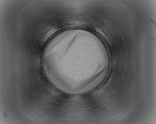 X0000098091259200804251246