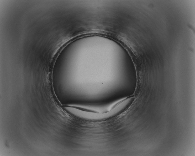 X0000098091260200804251246