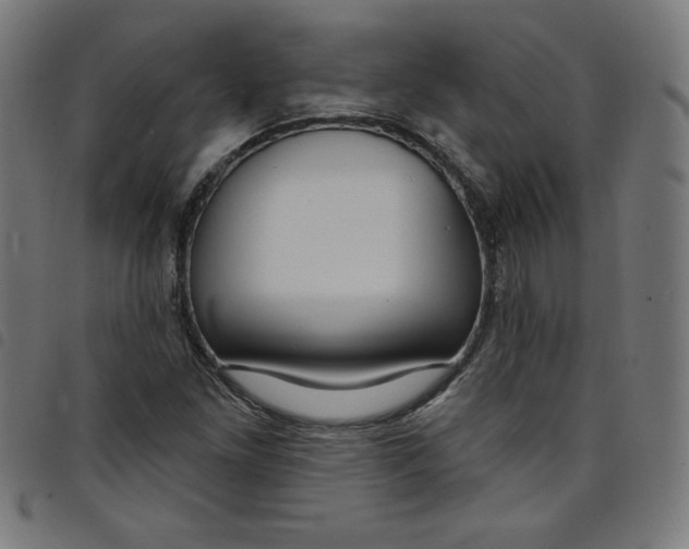 X0000098091261200804251246