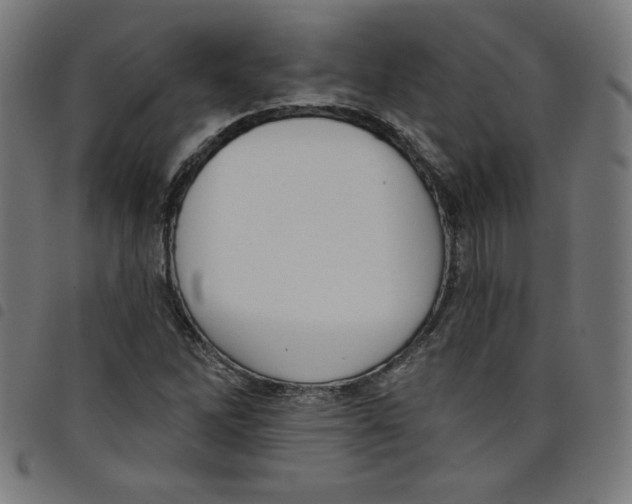 X0000098091262200804251246