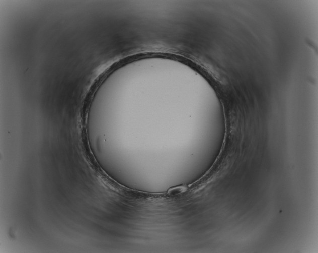 X0000098091264200804251246