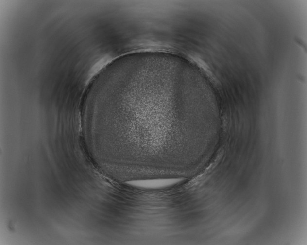 X0000098091267200804251246