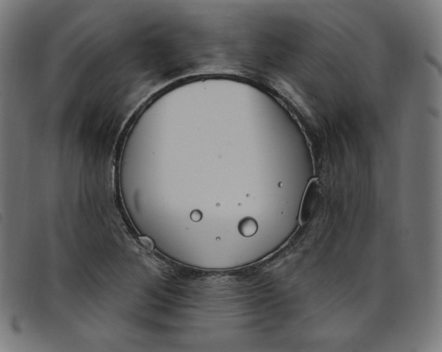 X0000098091268200804251246