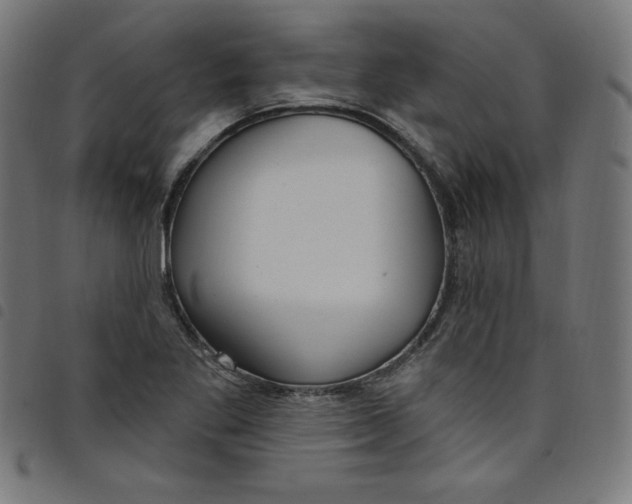 X0000098091269200804251246